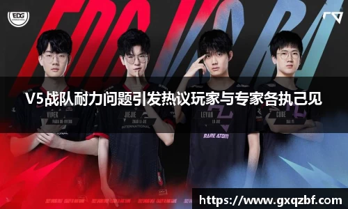V5战队耐力问题引发热议玩家与专家各执己见